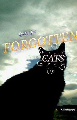 Quest for Forgotten Cats