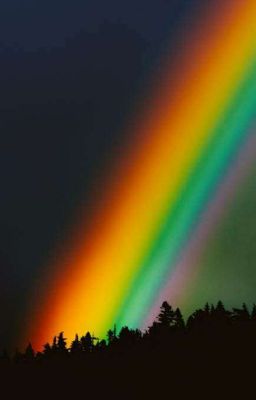 Rainbow ....Shades of love