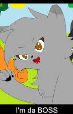 Random Awesome Warrior Cats Taco's