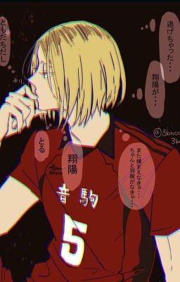 Reader x Kenma Kozume I STALKER