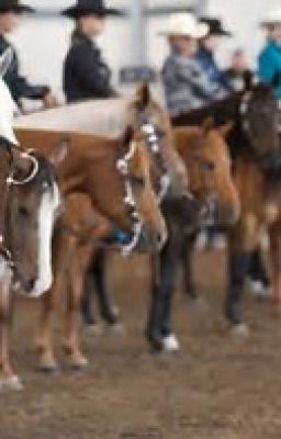 Redwood Riding Academy