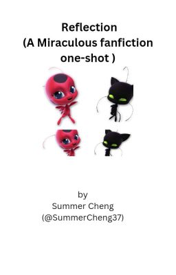 Reflection (A Miraculous one-shot)  by Summer Cheng (@SummerCheng37)