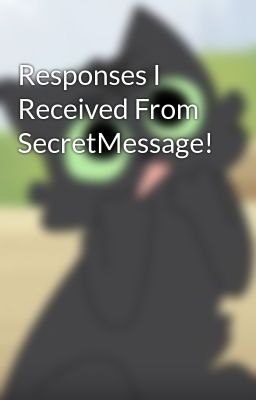 Responses I Received From SecretMessage!