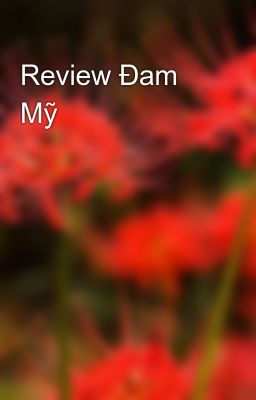 Review Đam Mỹ