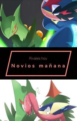 Rivales Hoy, Novios Mañana (Greninja x Sceptile)