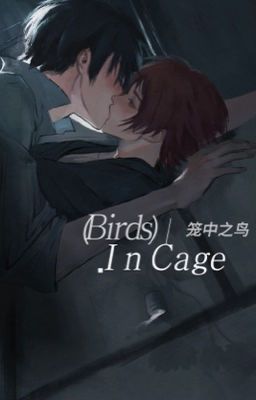 [rnse] Birds in cage