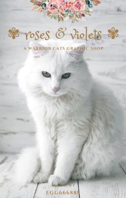 ✾ roses and violets ➸ warrior cats graphic shop ✾