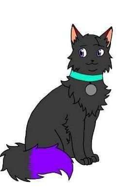 RP's w/ Ravenpaw_jayfether and DBS170