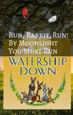 Run, Rabbit Run! By Moonlight You Must Run! (Watership Down)