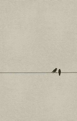 [sasusaku]Two Birds On A Wire
