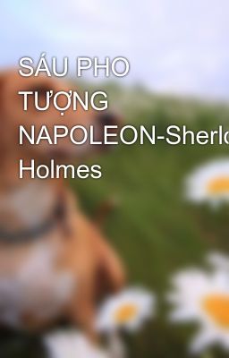 SÁU PHO TƯỢNG NAPOLEON-Sherlock Holmes
