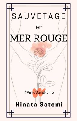 Sauvetage en mer rouge (OS)