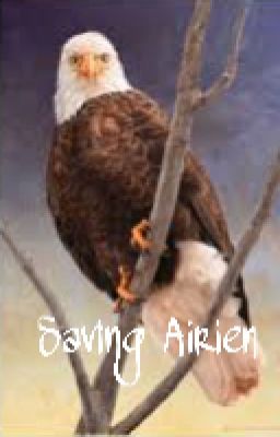 Saving Airien