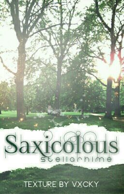 •Saxicolous•