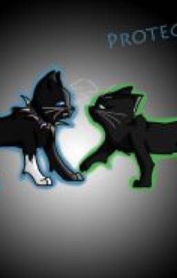 scourgeXHollyleaf