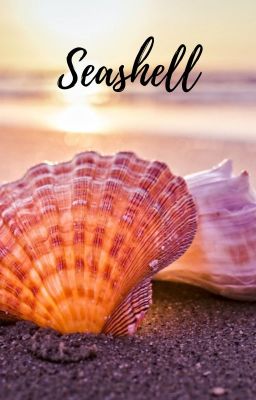 Seashell