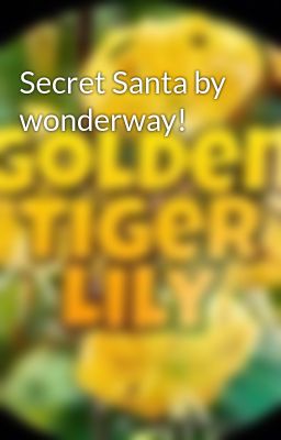 Secret Santa by wonderway!