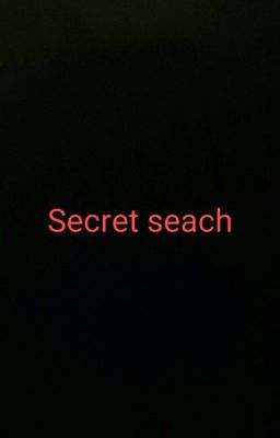 SECRET SEARCH 