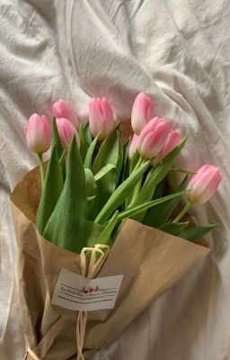[seokhao] tôi tặng em một bó hoa