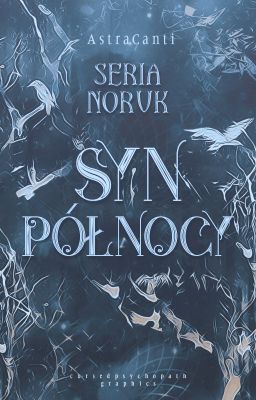 Seria Noruk: Syn Północy