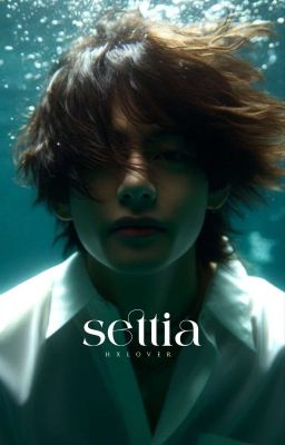 Settia | kookv