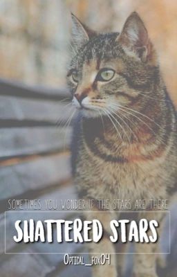 Shattered Stars | Warrior Cats