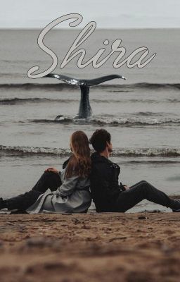 Shira