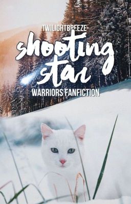 Shooting Star ミ★ Warriors Fanfiction