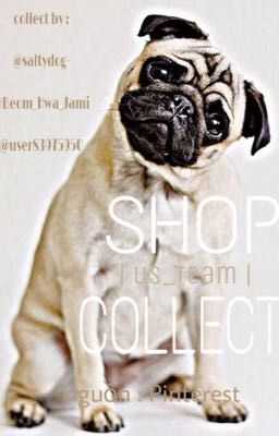 Shop Collect | US_Team
