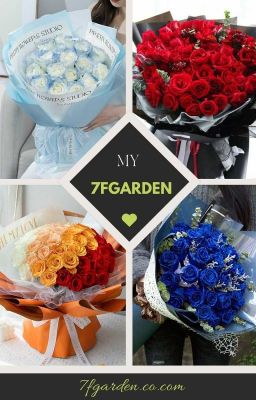 Shop hoa tươi trực tuyến 7F Garden: Các loại hoa bạn cần