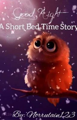 Short Bed Time Story