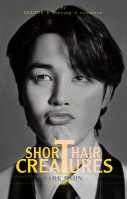 SHORT HAIR CREATURES || PJM  [on hold]