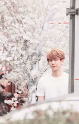 Shortfic|Chanbaek| Anh Nợ Em