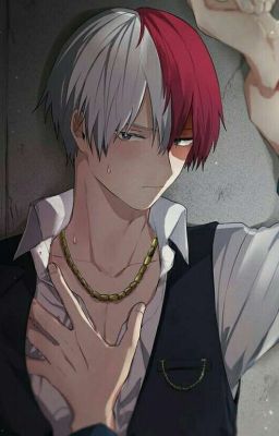 ❄Shoto Todoroki's Instagram🔥