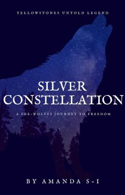 Silver Constellation