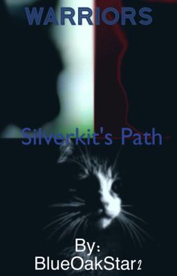 Silverkit's Path (Book 1) [BEING RE-WRITTEN]