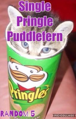 Single Pringle Puddlefern 