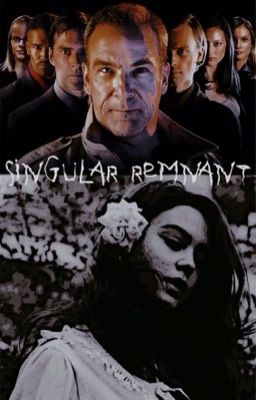 Singular Remnant | Criminal Minds ¹