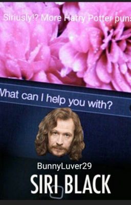 Siriusly!? More Harry Potter puns?