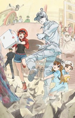 So little, standing tall (Hataraku Saibou x Male reader)