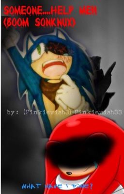 Someone....help me!! (Boom Sonknux)