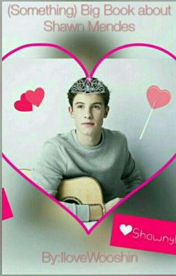  (Something)BIG Book ABOUT SHAWN MENDES😍❤✨