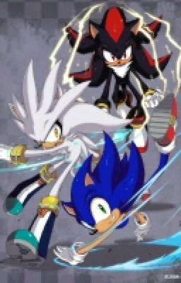 Sonic Shadow and Silver under the same roof.