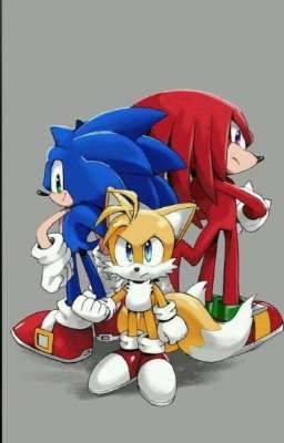 [ Sonic The Hedgehog/Fanfiction ] - The Curse Under The Red Moonlight