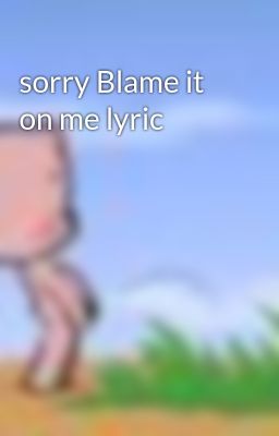 sorry Blame it on me lyric