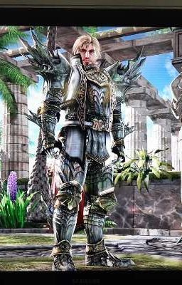 soul calibur: the paladin