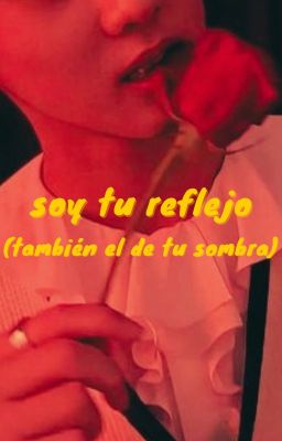 soy tu reflejo (también el de tu sombra) ☆ yang jungwon [o.s]