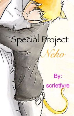 Special Project Neko