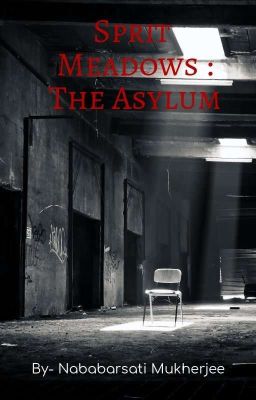 Spirit Meadows : The Asylum