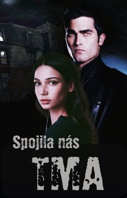 Spojila nás tma, Teen Wolf FF